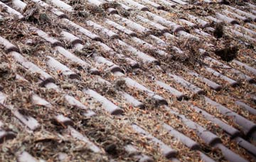 Eton roof cleaning companies